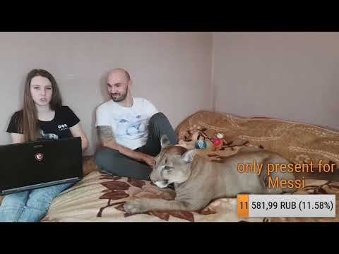 Прямой эфир. Домашний