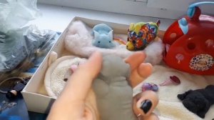 В гостях с собаками сквиш