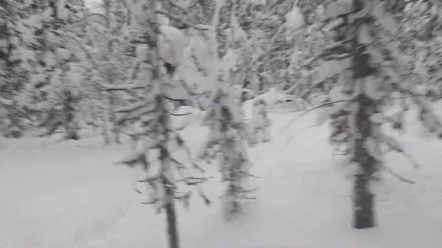 вожу доски доделываю избу смотреть онлайн