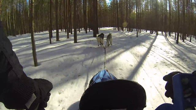Лемболово спринт 5 км 1 этап 2 часть смотреть онлайн