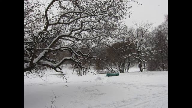 С НОВЫМ счастьем в НОВОМ году ! ПОЗДРАВЛЕНИЕ муз Елена Анненкова фото видео Татьяна Талызина смотреть онлайн
