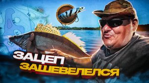 С каждой проводки улов.Рыбалка на троллинг. #воблер,#оснастка, #лодка,#рыбалка, #мотор, #судак.