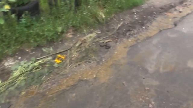 Вода от мэра Василькова Сабадаша на разбитом асфальте , а не в кранах! смотреть онлайн