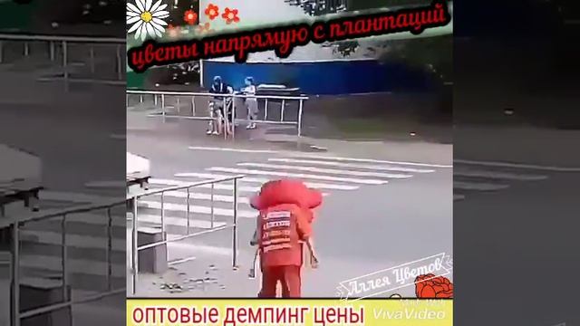 Заказать 101 розу дешево в Тюмени