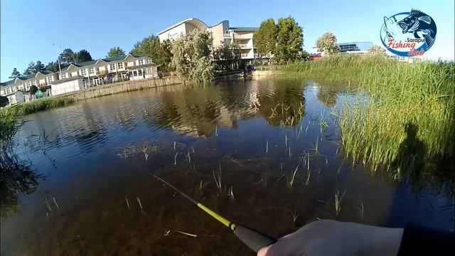 Рыбалка в Анапе.