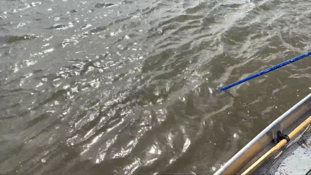 Первая рыбалка в 2023 году (мойва)Аляскинский холиган, семейство корюшки. Река “ Deshka Lending” смотреть онлайн