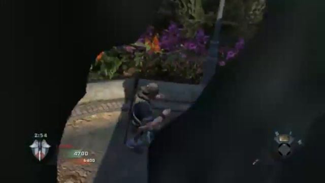 Black Ops Hazard Glitch смотреть онлайн