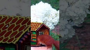 ПРОДАЁТСЯ МОЗАИЧНАЯ КОРМУШКА