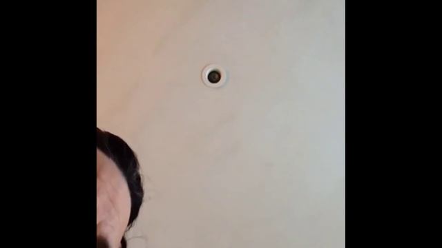 Billie Joe Armstrong - "Scattered" (Instagram Mashup) смотреть онлайн
