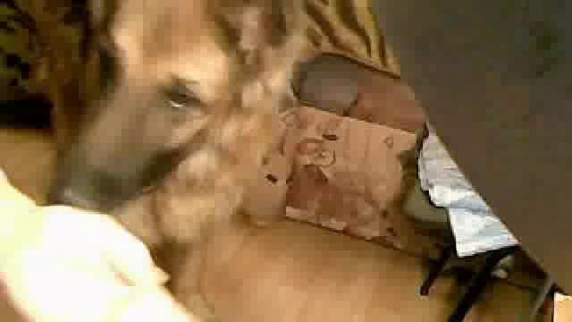 Видео с веб-камеры. Дата: 4 октября 2013 г., 17:13. смотреть онлайн