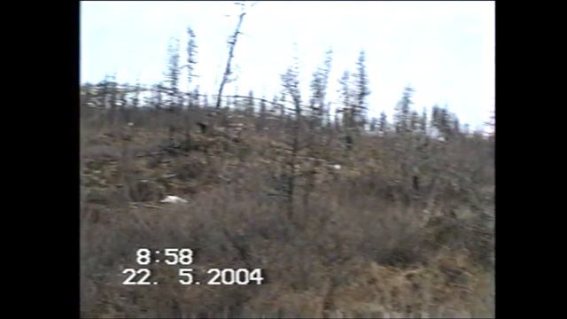 2004 год Хандыга - Оймякон часть 2 смотреть онлайн