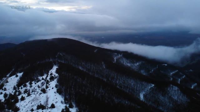 DJI Mavic 2 Enterprise Dual. Flight in the fog смотреть онлайн