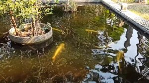 Sunshine Garden Resort Паттайя ресепшен