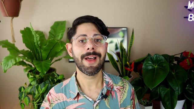 COMO CULTIVAR PLANTAS EM CASA (PASSO A PASSO) смотреть онлайн