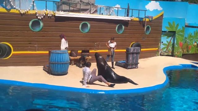 Mundomar Août 2019 смотреть онлайн