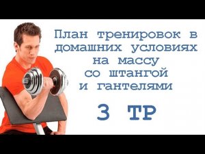 План тренировок в домашних условиях на массу со штангой и гантелями (3 тр)