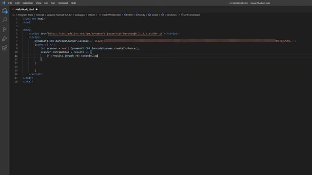How to Use Dynamsoft Barcode Reader JavaScript SDK | Dynamsoft Tutorial смотреть онлайн