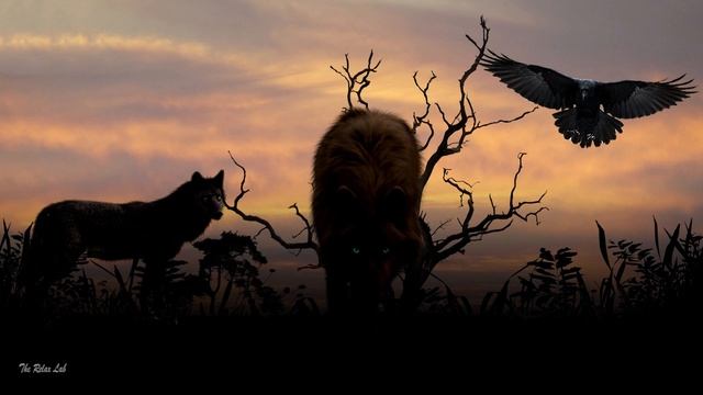 Шаманская музыка с барабанами для медитации и восстановления сил. смотреть онлайн