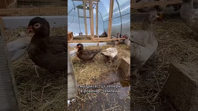 Деревня - это ад и рай одновременно ? ? смотреть онлайн