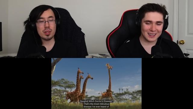 REACTING to *Madagascar 2: Escape to Africa* EVEN FUNNIER?? (First Time Watching) Animator Reacts смотреть онлайн
