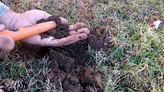 Tesoro Cibola - Metal detecting a local park смотреть онлайн