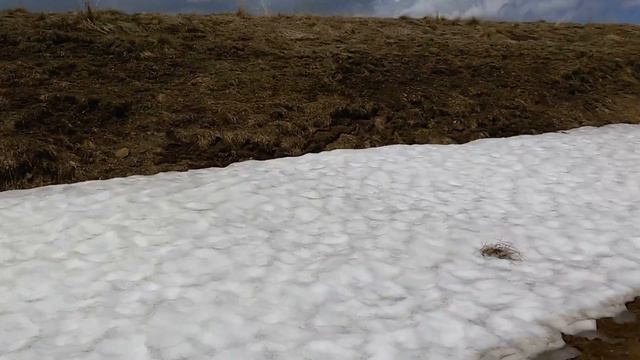 МЕНЬШЕ СЛОВ, БОЛЬШЕ ДОРОГ, ТРАССА КАВКАЗА смотреть онлайн