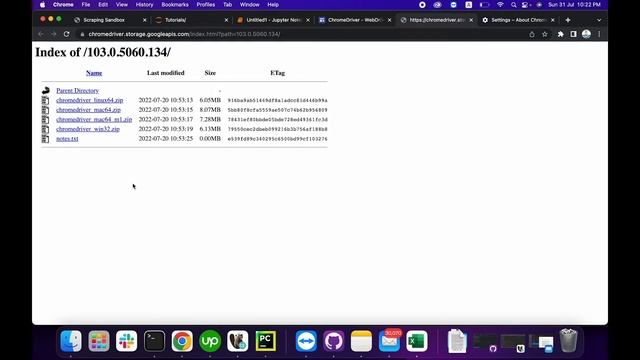 Selenium Automation In Jupyter Notebook: Step By Step Guide смотреть онлайн