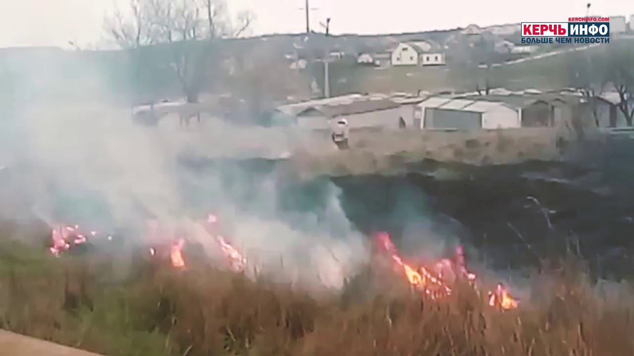 Пожар в Керчи: загорелся камыш смотреть онлайн