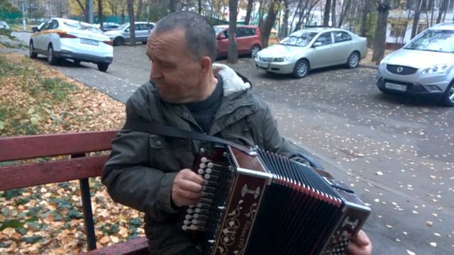 27.10.18.Наигыш на гармони"Барыня'.Играет Шатаев Николай смотреть онлайн