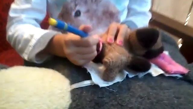 Котёнок заболел смотреть онлайн