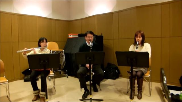 Winter Wonderland / Felix Bernard / Trio (Flute, Clarinet, Alto Clarinet) смотреть онлайн