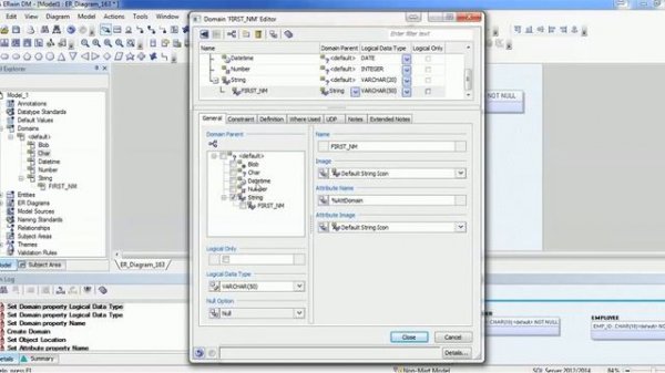 06. ERWin Data Modeler Tool Tutorial - How to create domain attributes