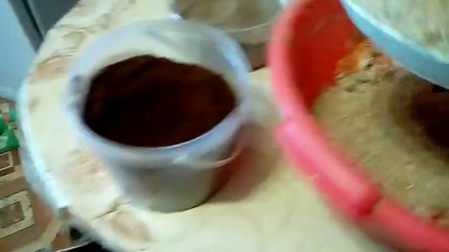 Кормление кур зимой. Мешанка. смотреть онлайн