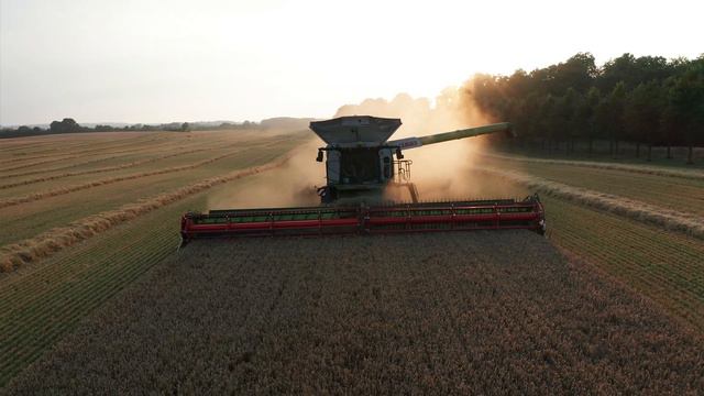 Lystrup og Jomfruens Egedes harvests 2022 смотреть онлайн