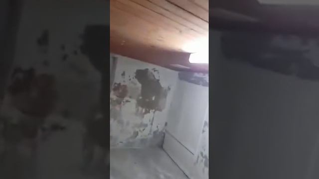 Тверская область, Калязинский район, с. Нерль. ШКОЛА смотреть онлайн