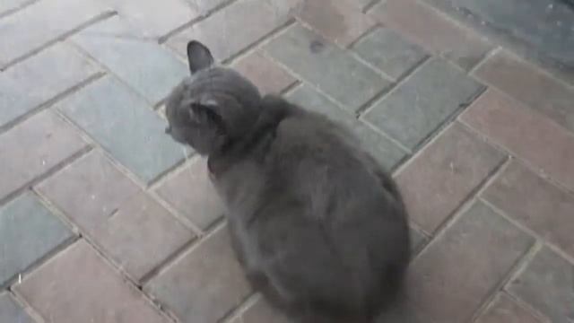 GR128 from Aachen to Kemmel смотреть онлайн