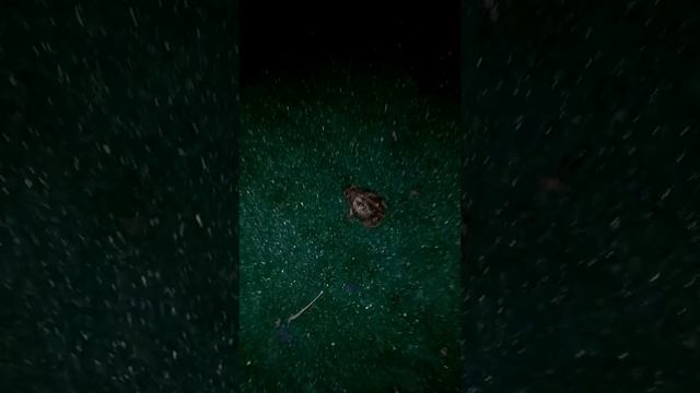 Мастерская Талантов