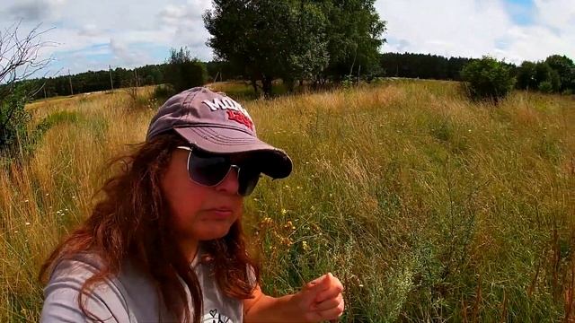 ТОНЧАЙШИЙ ЗАПАХ ВЕЙНИКА. СУХОЦВЕТ. Из НЕГО ПЛЕТУТ МАТЫ, ПОДСТИЛКИ, КРЫШИ, МЕТЕЛКИ. #5 смотреть онлайн