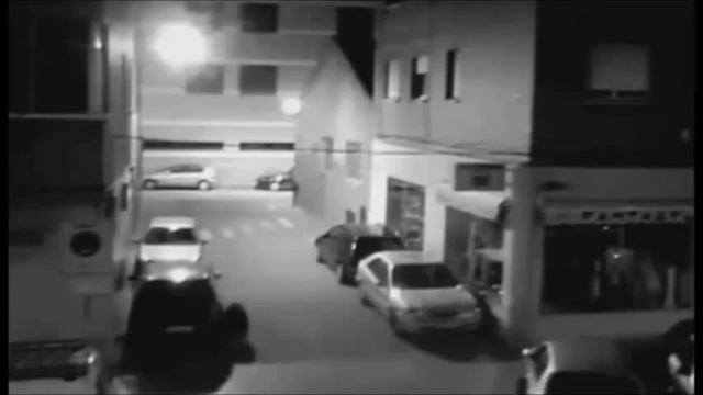 Жуткий житель немецкого дворика снят на камеру. Шок! смотреть онлайн