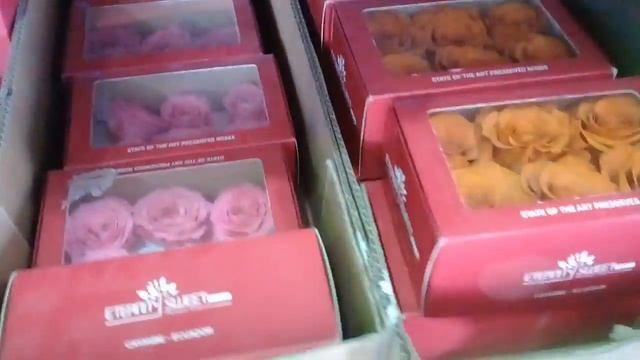 Цех производства Стабилизированной розы в Экввдоре смотреть онлайн