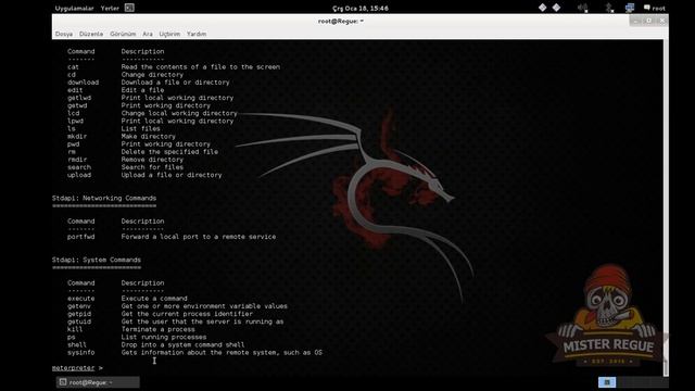 PHP CGI Argument Injection with Metasploit смотреть онлайн