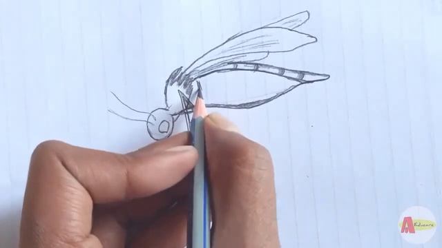 How to Draw a Mosquito Easily And Step by Step ! смотреть онлайн