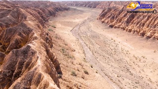 Чтобы Добиться Просветления Срочно Перестань Делать То Что Делаешь Прямо Сейчас! l НИКОШО и Адамс смотреть онлайн