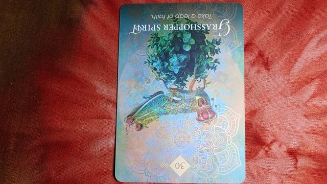 G-The Spirit Animal Oracle card meanings смотреть онлайн