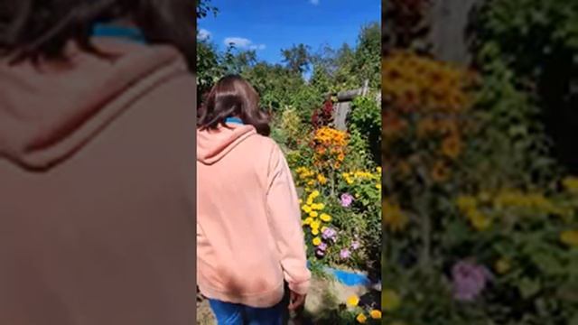 Безвременник и мои цветы.Сентябрь 2022 смотреть онлайн