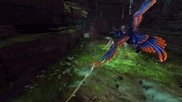 One year of griffon flying смотреть онлайн
