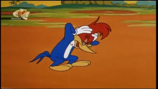 Дятел Вуди Вудпекер с 96 по 100 серию смотреть онлайн