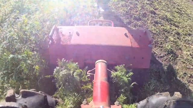 Мотоблок Мотор Сич, осеннее мульчирование фацелии 2021, часть 1.