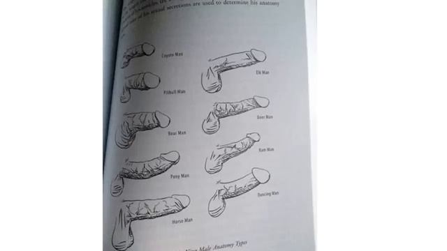 कितने इंच का लिंग पसंद आता है लड़की को । which size dose women like by mahila shastra | смотреть онлайн