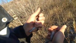 Лучший день ловли в конце осени (25+ мат душевный).mp4